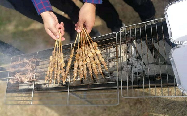 智為銘略金秋野外燒烤掠影