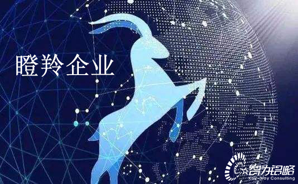 關于印發(fā)《江蘇省瞪羚企業(yè)培育實施方案》通知