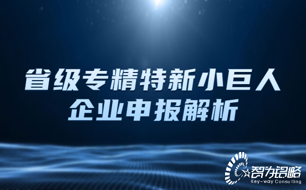 省級(jí)專精特新小巨人企業(yè)申報(bào)解析.jpg