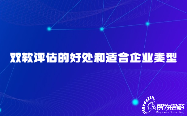 雙軟評估的好處和適合企業(yè)類型.jpg