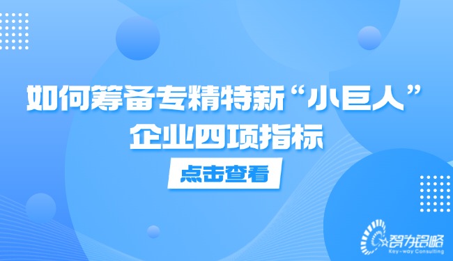 如何籌備專精特新“小巨人”企業(yè)四項指標(biāo).jpg